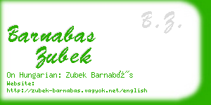 barnabas zubek business card